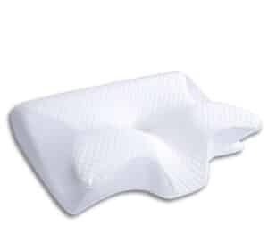 Ergo Z Pillow Reviews